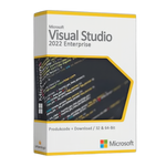 Microsoft Visual Studio 2022 Professional