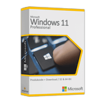 Windows 11 Professional