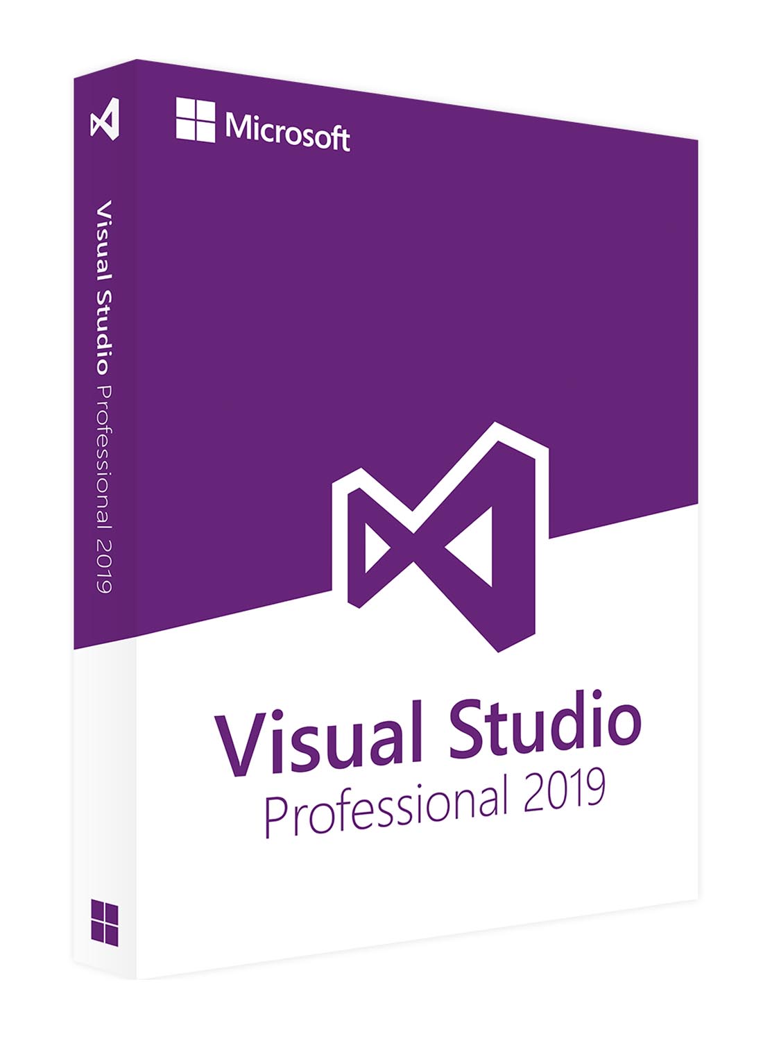 download visual studio professional edition 2019