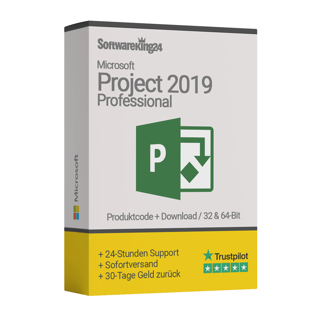 microsoft project professional 2019 download