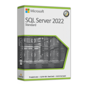 SQL server 2022 standard