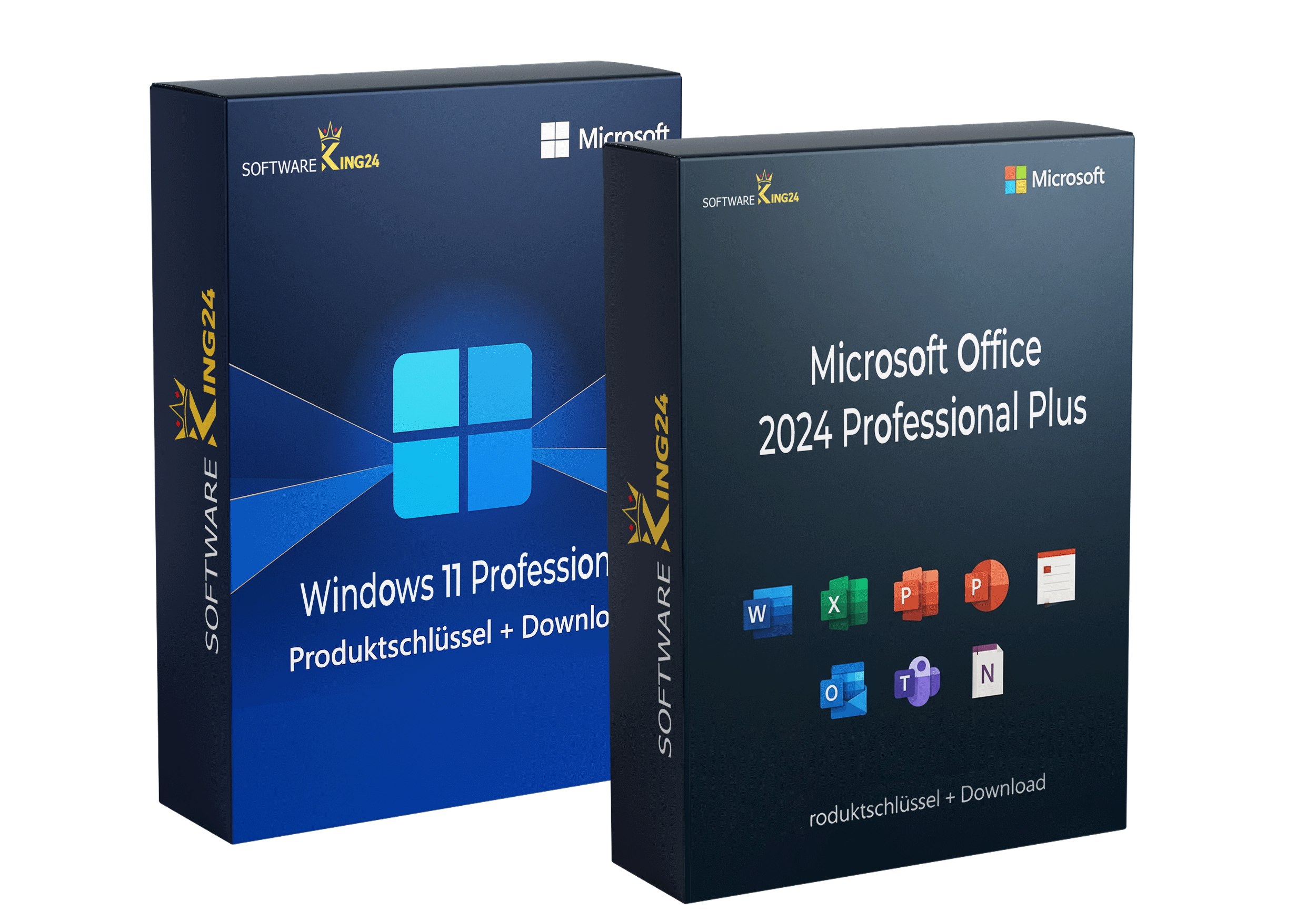 Microsoft Office 2024 Professional Plus & Windows 11 Professional (Bundle)