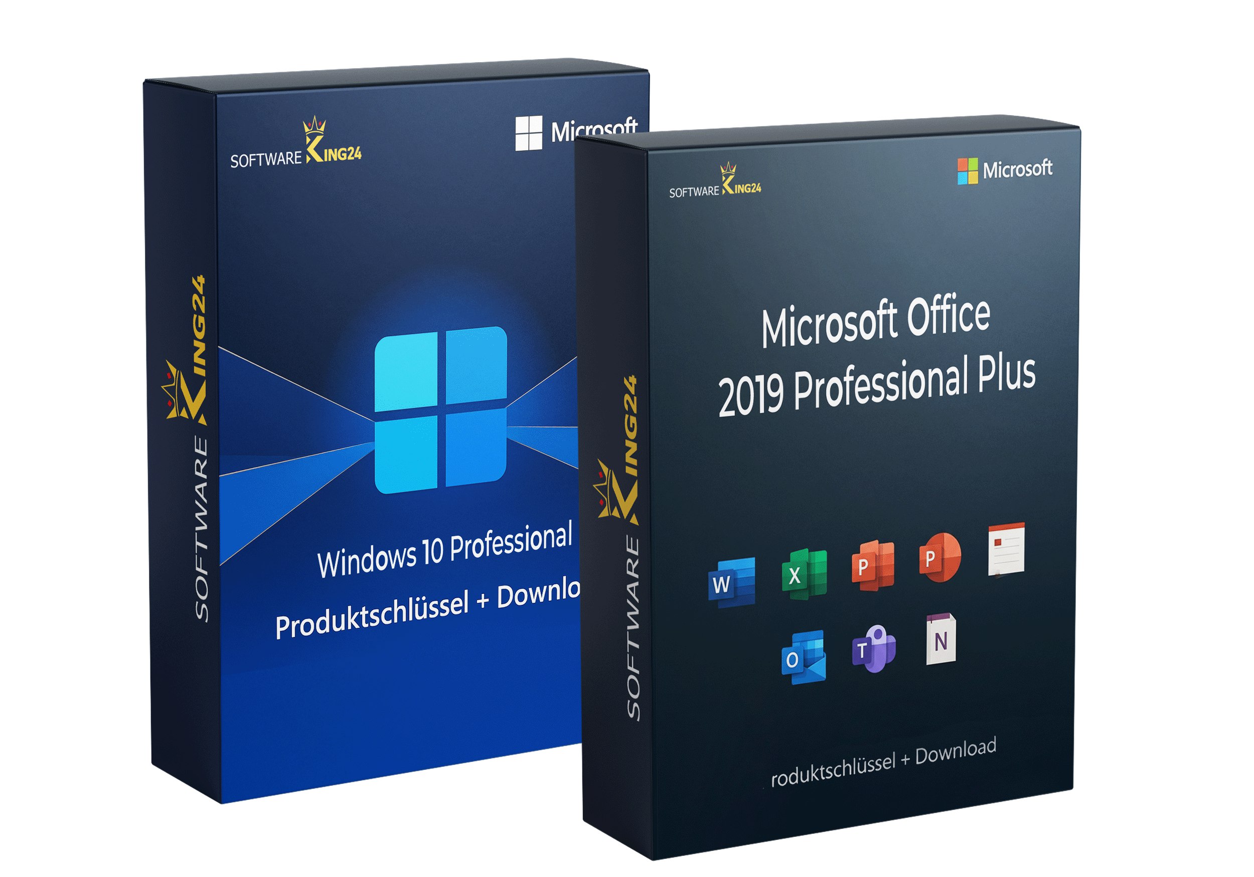 Microsoft Office 2019 Professional Plus & Windows 10 Professional (Bundle)