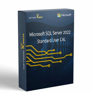 Microsoft SQL Server 2022 Standard - 1 User CAL Box