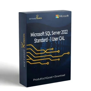 Microsoft SQL Server 2022 Standard - 1 User CAL
