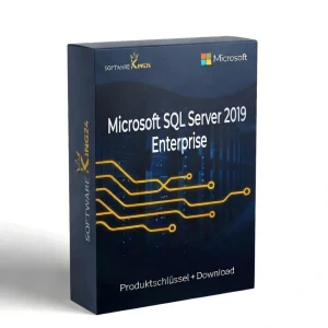 Microsoft SQL Server 2019 Enterprise