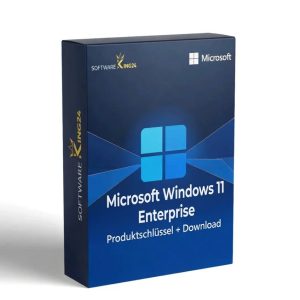Microsoft Windows 11 Enterprise